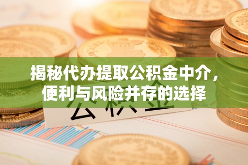 涞源揭秘代办提取公积金中介，便利与风险并存的选择