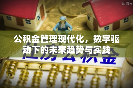 涞源公积金管理现代化，数字驱动下的未来趋势与实践