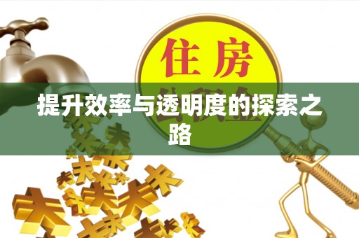 涞源提升效率与透明度的探索之路