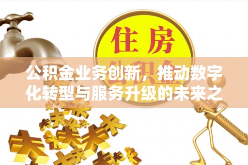 涞源公积金业务创新，推动数字化转型与服务升级的未来之路