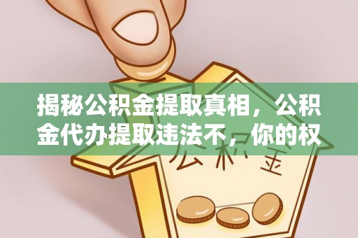 涞源揭秘公积金提取真相，公积金代办提取违法不，你的权益如何保障？