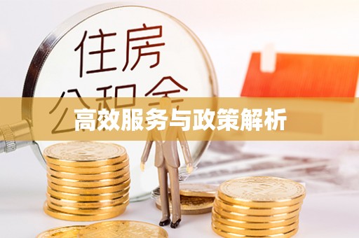 涞源高效服务与政策解析